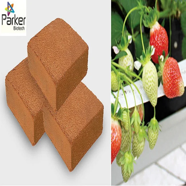 Торф кокосовый 5 кг 650 г/с из Южной Индии