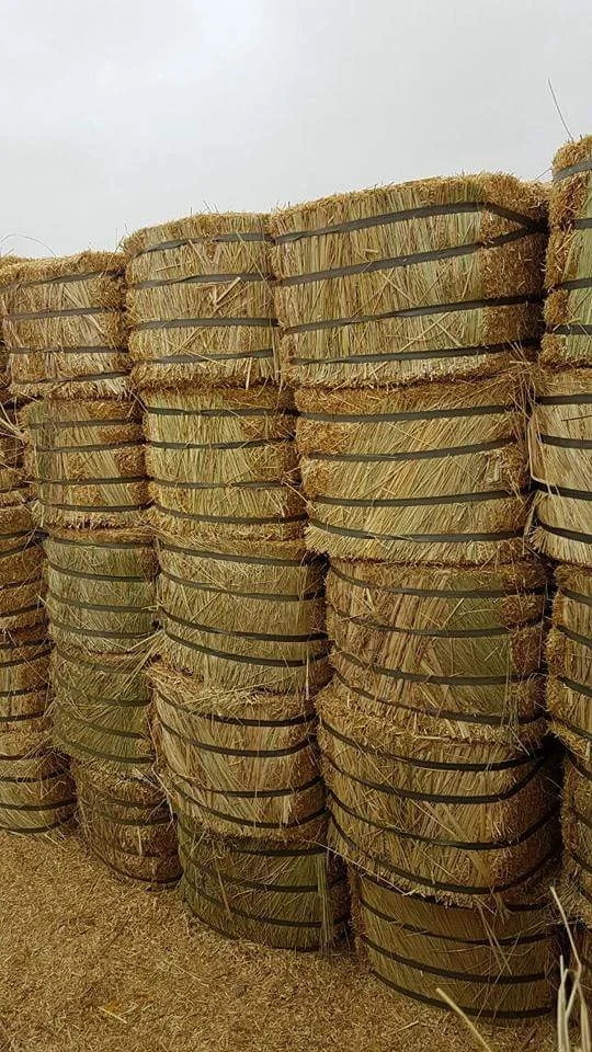 Тюки с сеном (Пшеничная солома) тюки из Пакистана