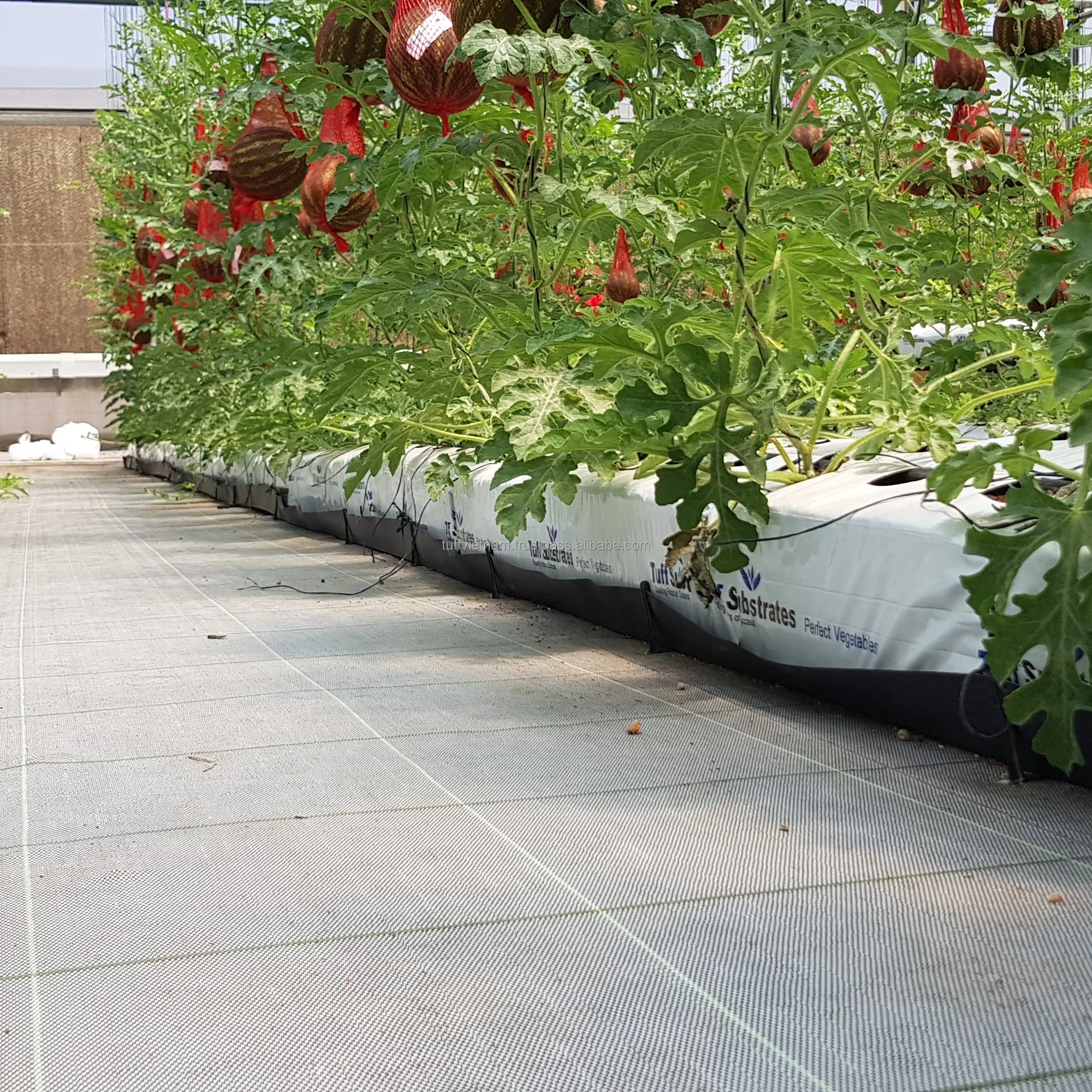 Высококачественная продукция из Вьетнама торф кокосового цвета 5 кг прессованные блоки 100% натуральный цены