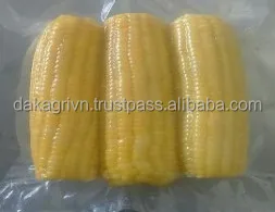Agriculture GMO Whole Vietnam 24 months Shelf Life Frozen 100% IQF Freezing Process Yellow Corn Whole With Vaccum Packaging