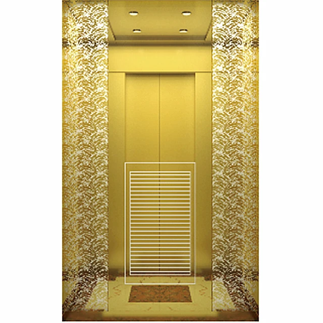 energy-efficient villa elevator with best price 3 Floor 2 Person