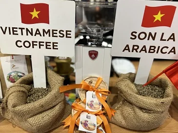 Arabica coffee beans with light roast, medium roast and dark roast, high quality made in Vietnam with low MQQ and good price