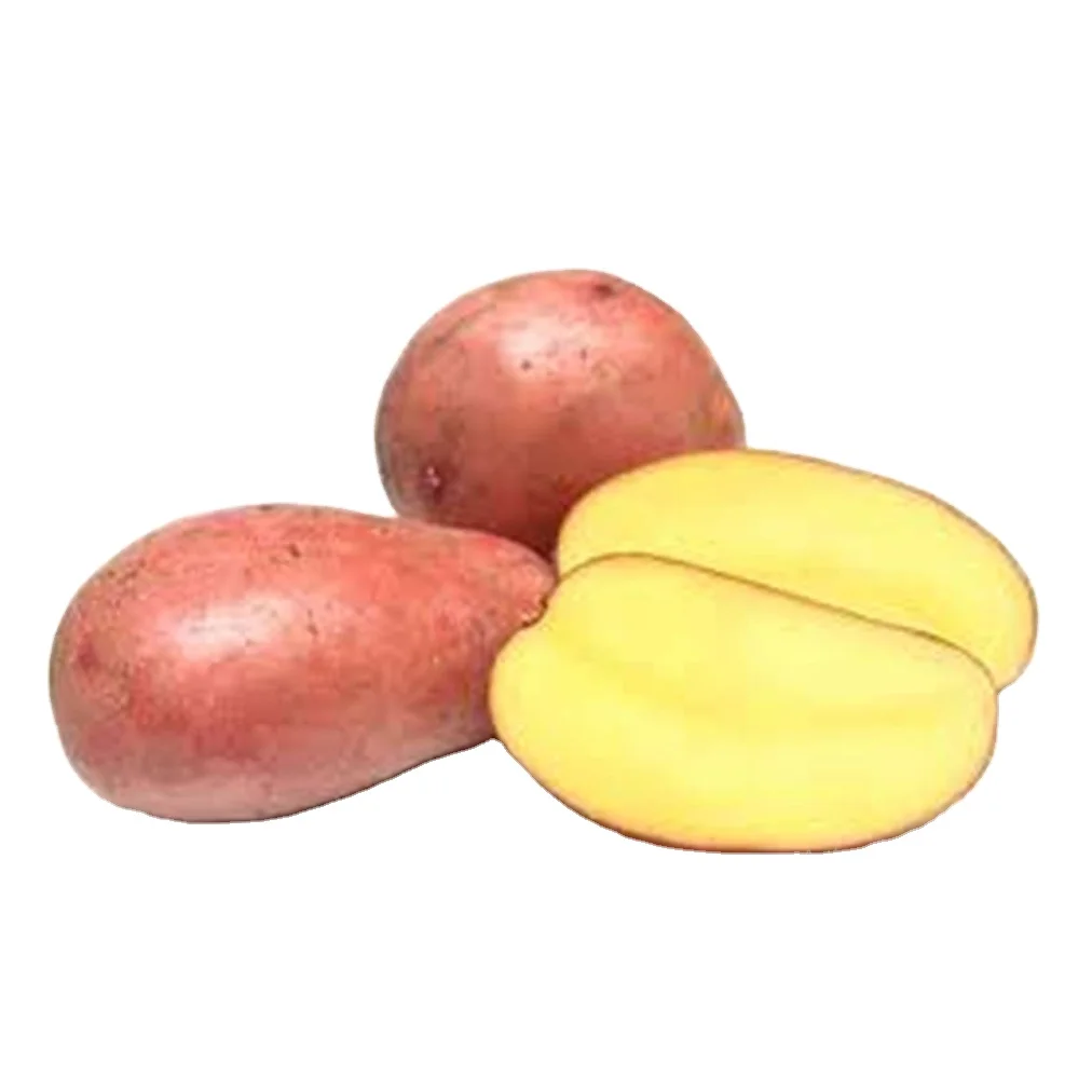 100% натуральный органический картофель, поставка OEM по низкой цене, свежий картофель из бангладеш