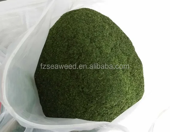 Hot sale Pure natural alga ulva Sea Lettuce  powder