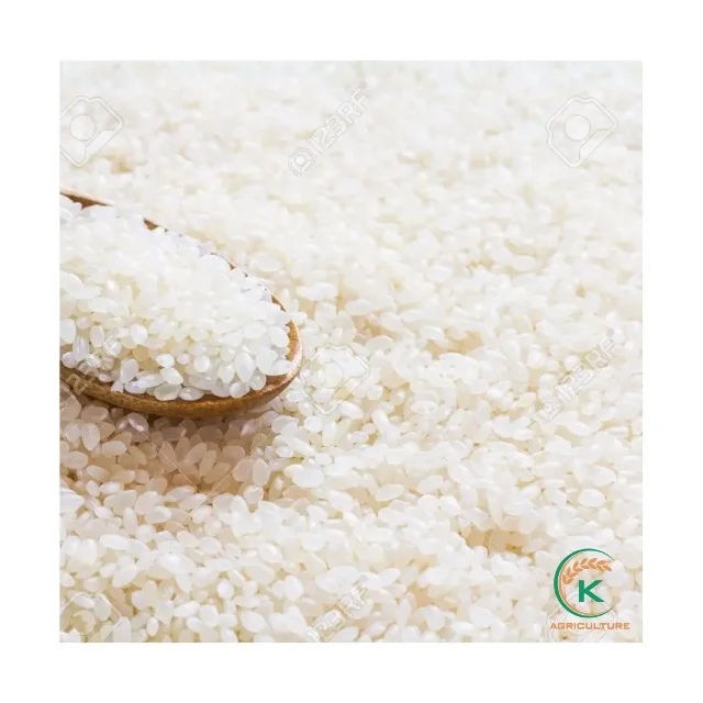 Round Grain Japonica Vietnam Rice Sticky Sushi Rice Natural Grain Cleaned And Milled / Whatsapp +84855555294