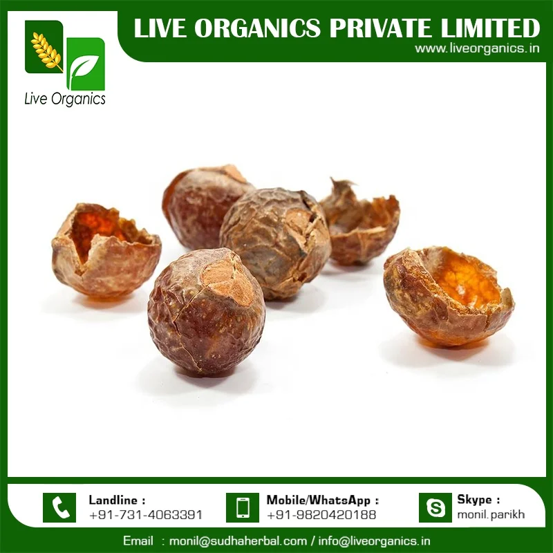 Ракушки для мыльных орехов-ракушки для натурального мыла-ракушки для мыльных орехов полностью сломанные-этнически полученные-выращенные в Индии