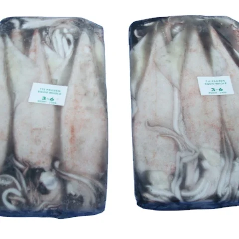 Купить высококачественный свежий и очищенный замороженный кальмар, оптовые экспортеры в индии для продажи оптом