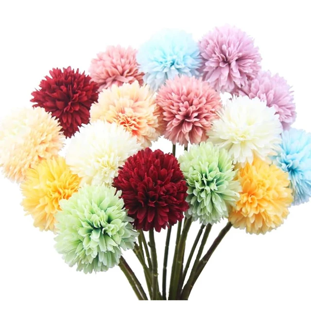Vietnam Good Price for Chrysanthemum Constellation Pingpong Variety Mesmerizing Display Form Flower