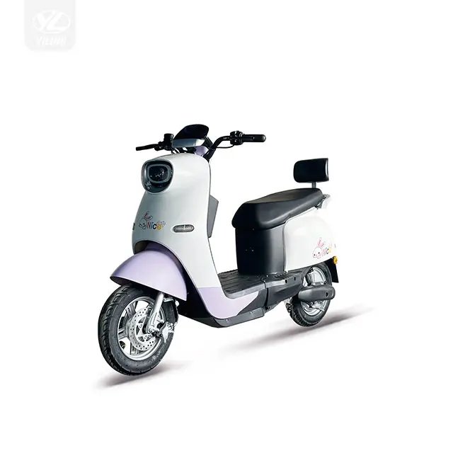 Electric scooter Suburban travel shopping fishing transport High-speed motor multi-gear adjustment adults can carry children