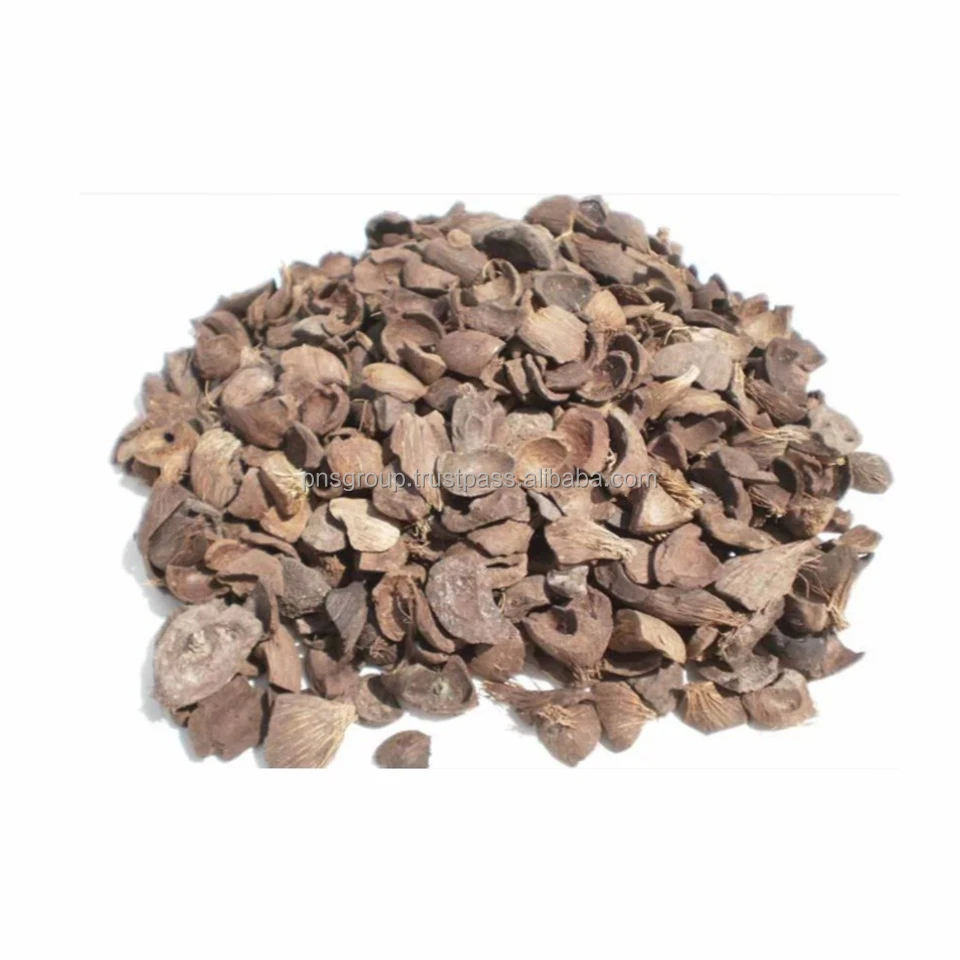sell renewable energy palm kernel shell biomass low ash and high efficiency for industrial boiler and kiln from North Sumatra