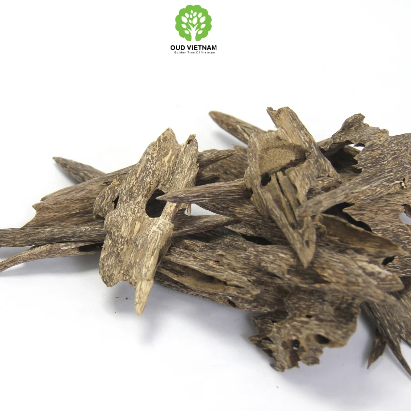 The Best Quality of Natural Premium Agar wood Chips Super Grade Precious Quality Ant Oudh Incense Fragrance Sweet Full Of Oil