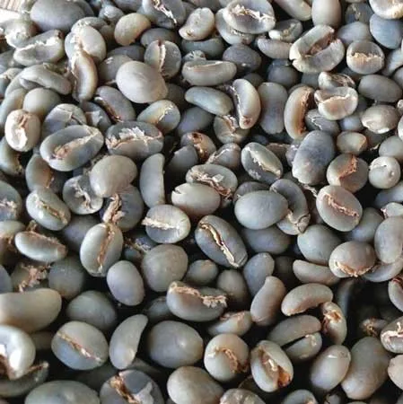 HANCOFFEE новые культуры Лучшая цена Арабика робуста зеленая фасоль необжаренная кофейная высокого качества