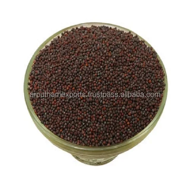 Индийский оптовый крупный экспортер сушеных высококачественных черных горчичных семян