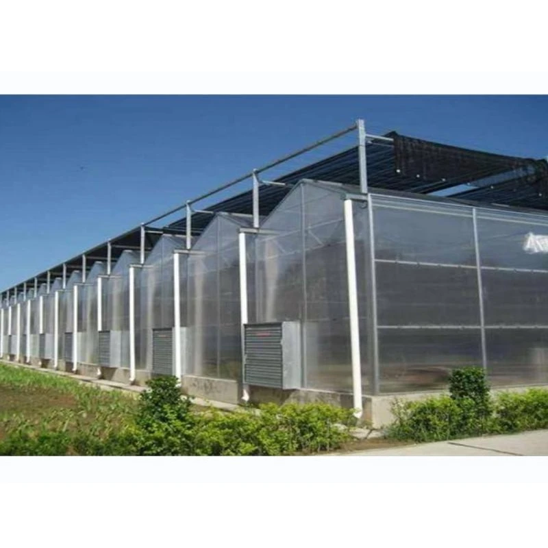 Intelligent Control  Hydroponic  Greenhouse Multi-Span Polycarbonate / PC Sheet Greenhouses With Overall System