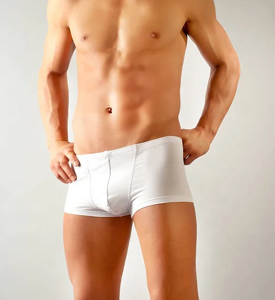 Wholesale Custom Logo Boxer Brief Underwear Polyester Knit Cuecas Seamless Briefs  Mens Boxer Briefs