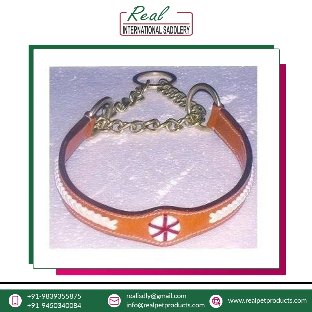 Best Quality Personalized leather dog collar with stainless steel dog chain collar at best price