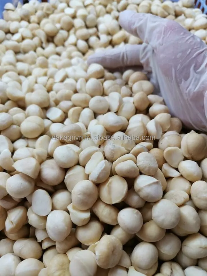 High Quality New Product Grade A OEM Common Food Dried Vietnam Dried Macadamia Nuts Store In Dry Place