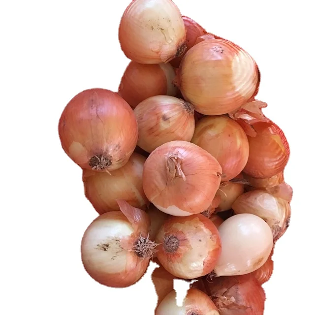 High Quality Export Fresh White Onion Price Onions Fresh