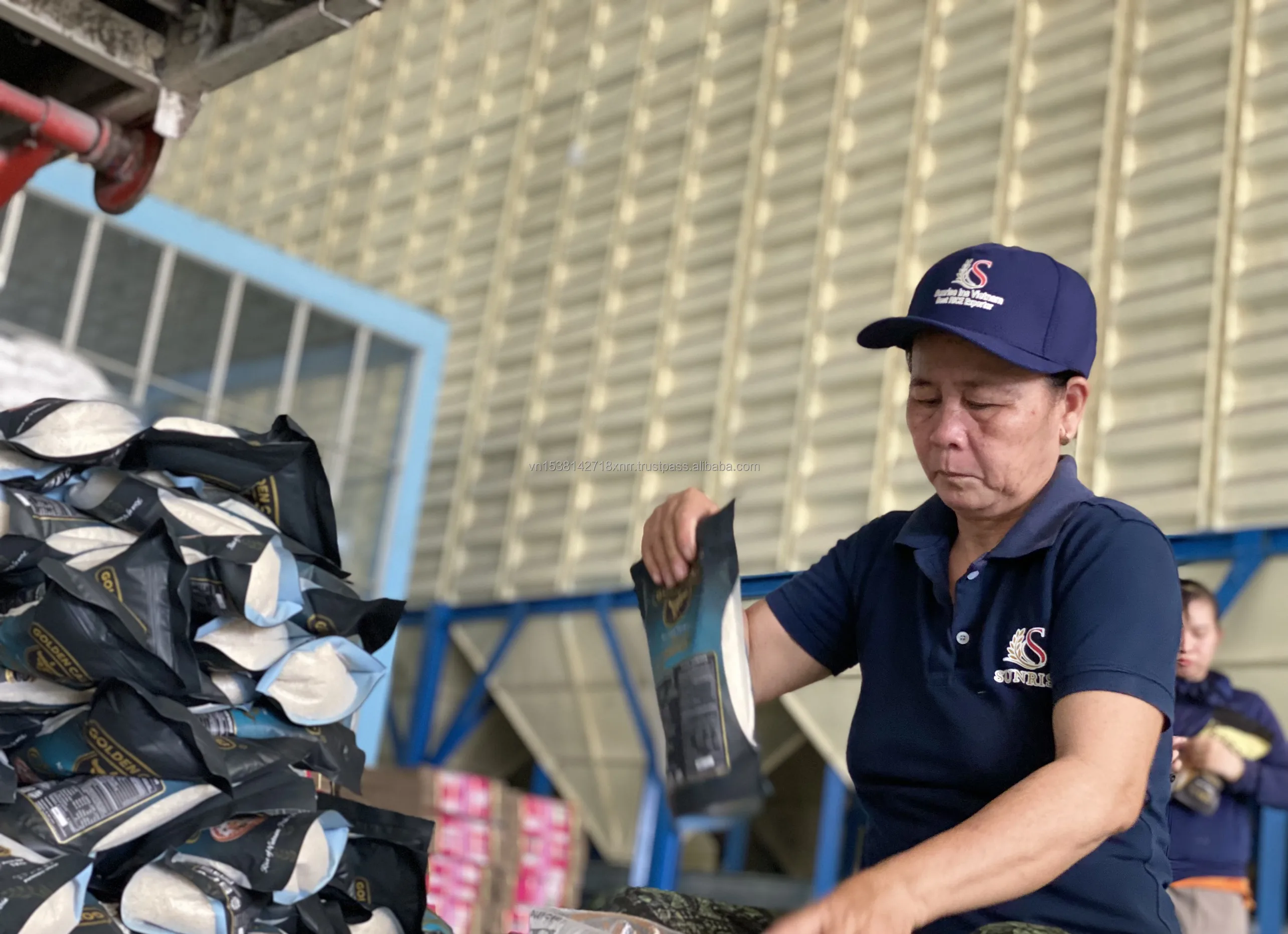 Jasmine Rice white swan with best price and high quality Viet Nam rice