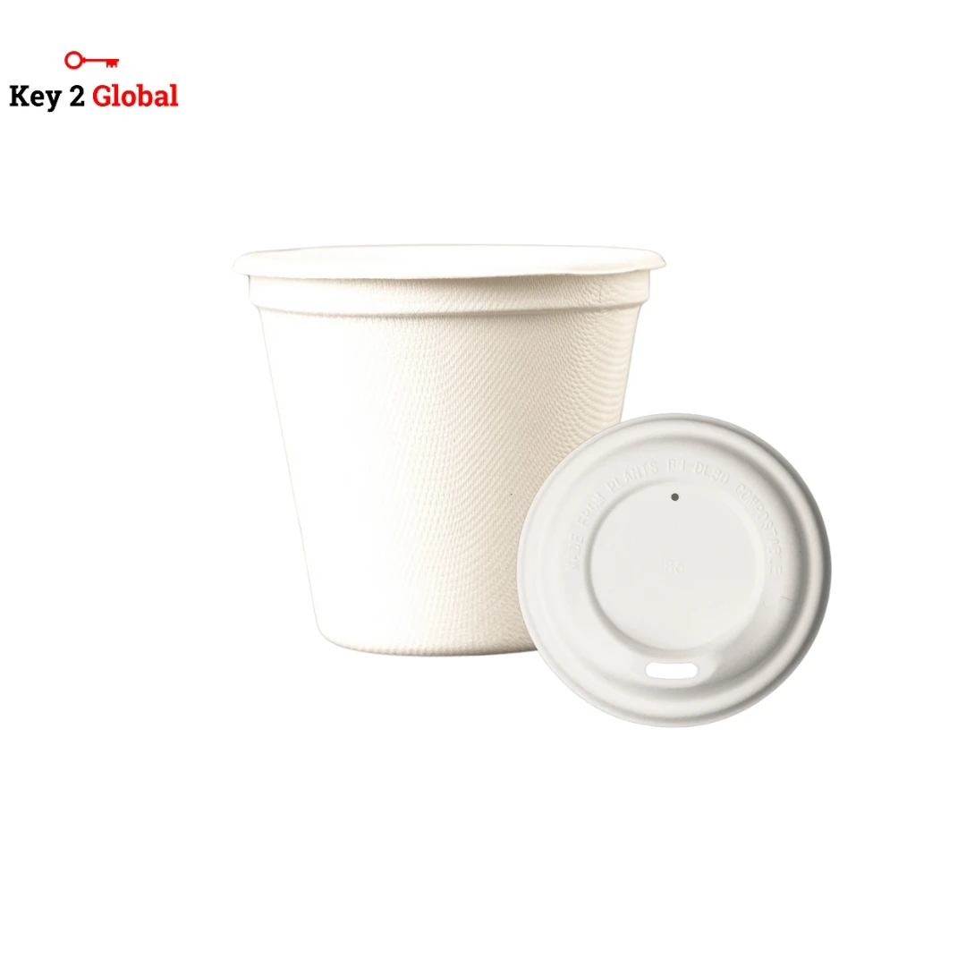 6 to 10 Inch Biodegradable Bagasse Disposable Plates  Sugarcane Tableware for Catering & Parties