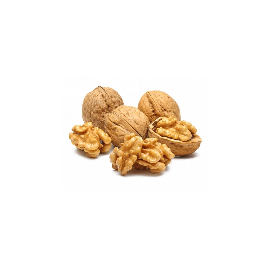 Walnuts Best Seller Manufacturer Wholesale Premium Organic Walnuts in shell