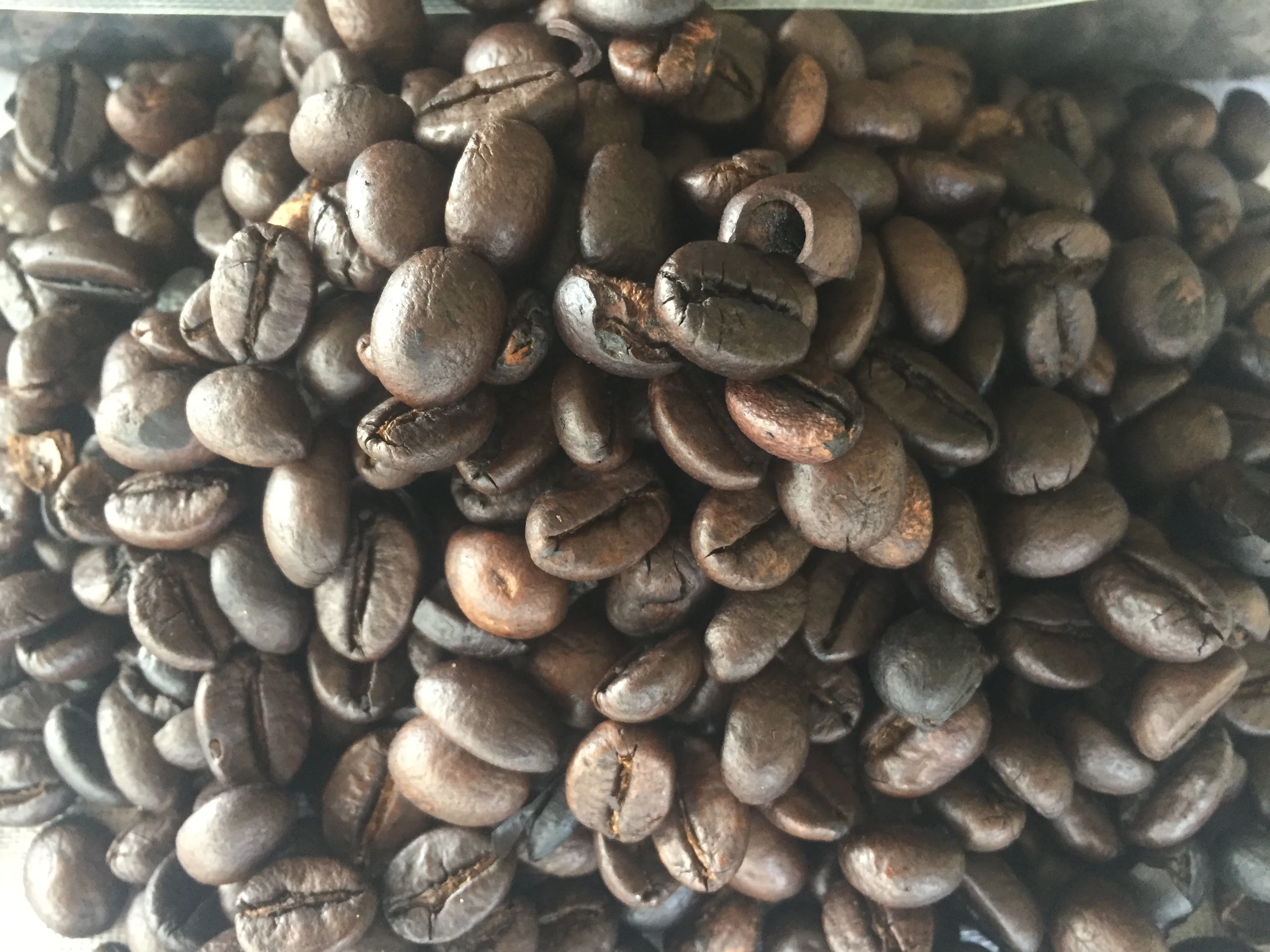 ROBUSTA ROASTED COFFEE BEANS SERUNAI100% Natural Hot Selling Indonesian Best Quality with Reasonable Best Price