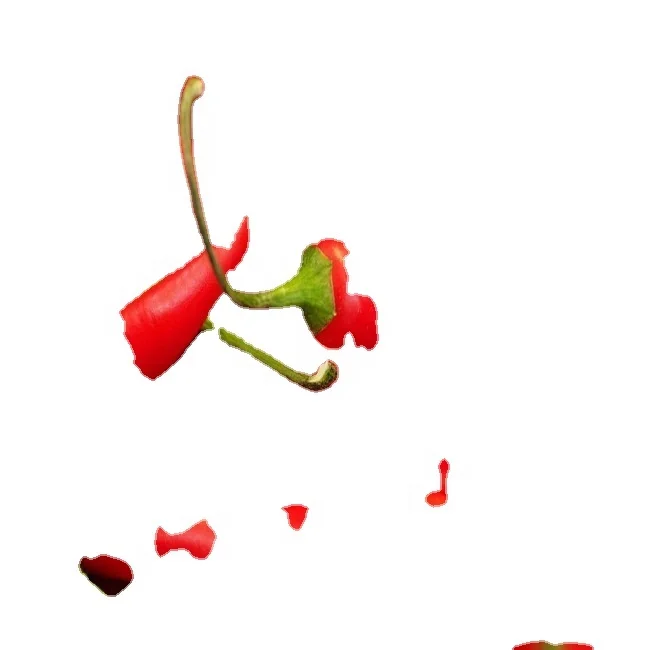 High Quality Cheap Exquisite S4 Red Chilli