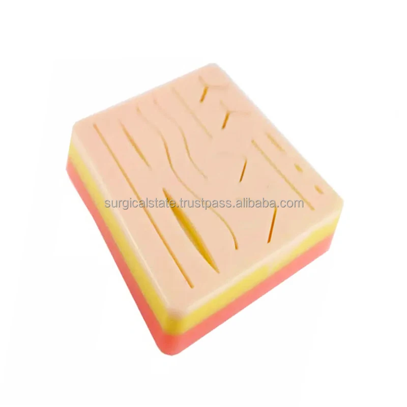 Advanced Dissection Kit For Anatomy And Biology Medical Students 22 Pcs 11 Pcs Botany Dissecting Set