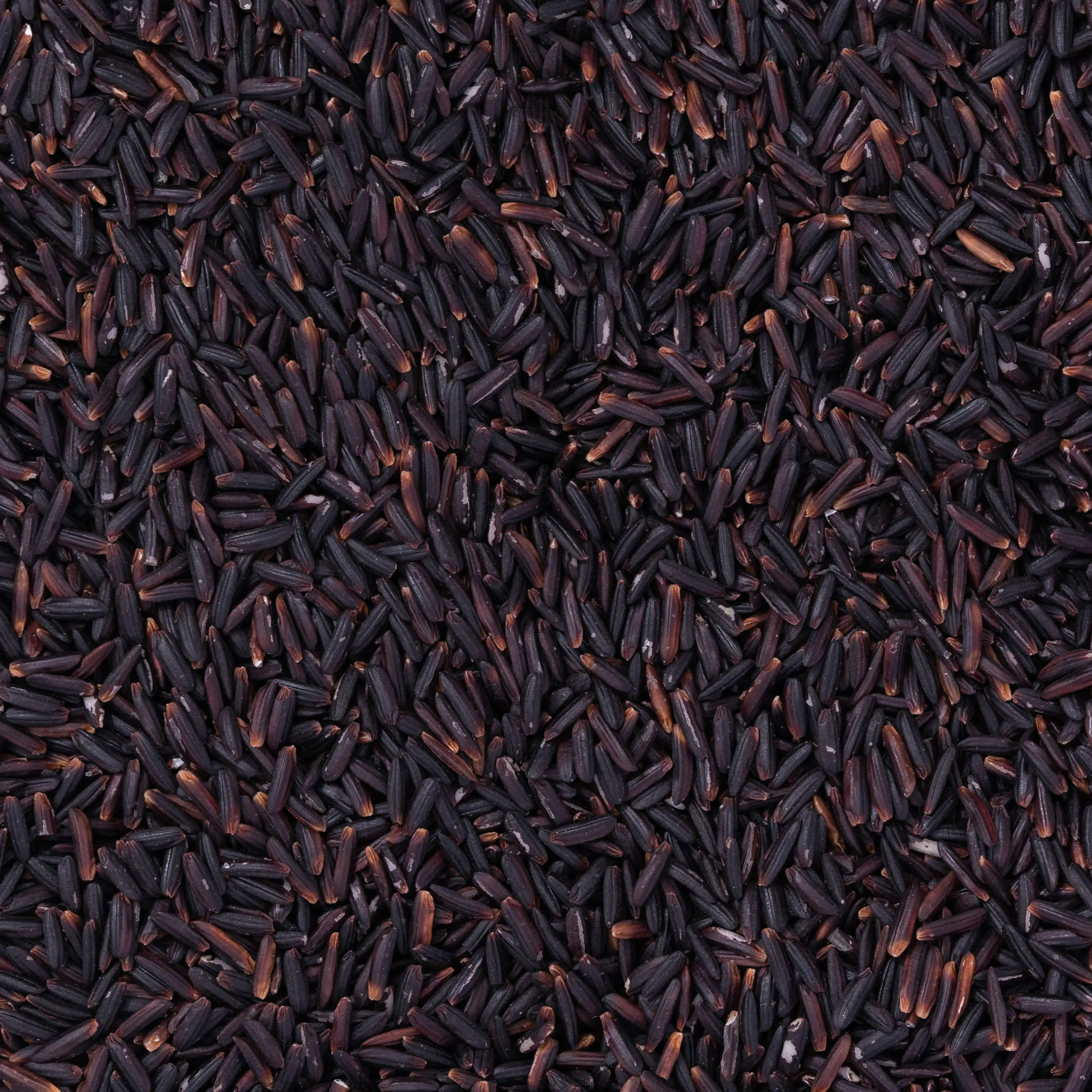 VIETNAM BLACK RICE 5% BROKEN NEW CROP, HEALTHY RICE,  VIETNAMESE RICE HIGH QUALITY WHOLESALE|Ms Emma +84332469432