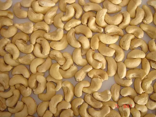Natural Fresh Cashew Nuts W320 W240 Cashew Nuts Export quality From Vietnam packaged cashew nuts