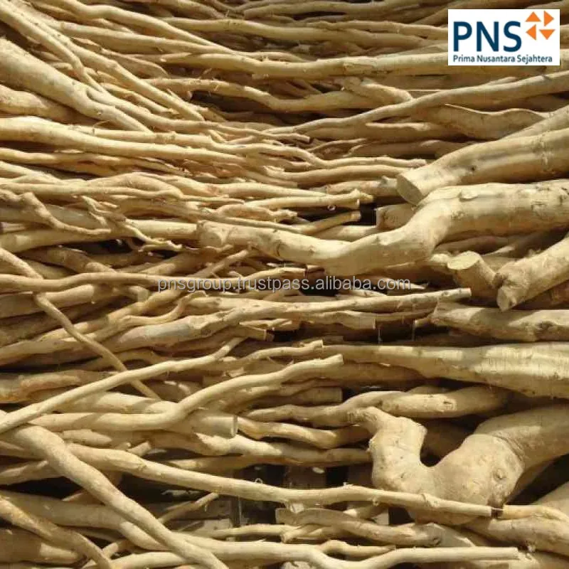 Eurycoma longifolia premium имеет множество преимуществ продаваемых по доступным ценам и гарантированное качество которое не разочарует