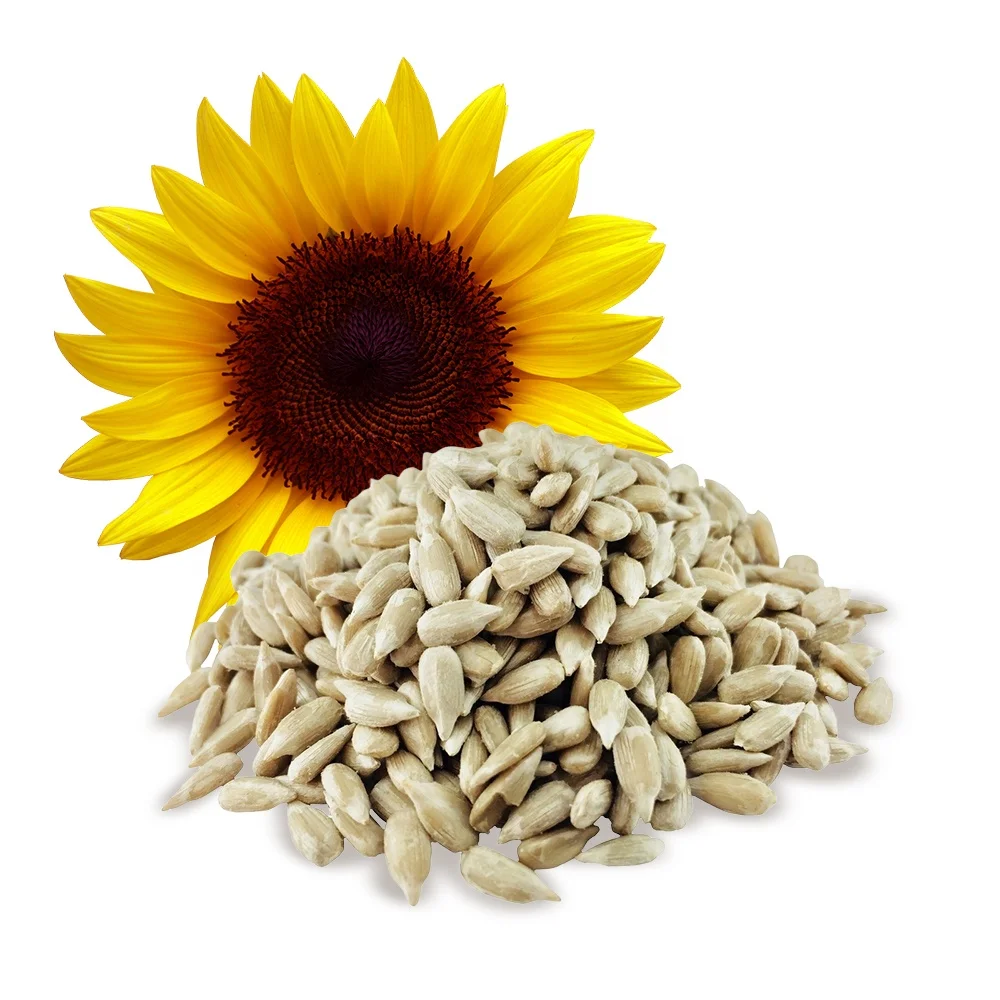 Wholesale 25 kg Altai sunflower seeds 100% natural product vitamins peeled raw sunflower kernels for food