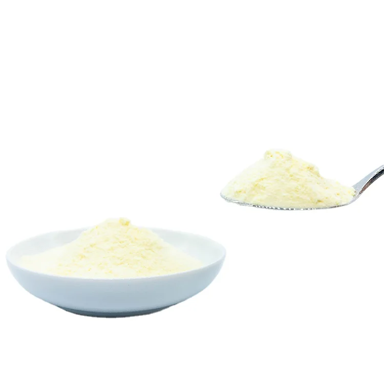Renger Food Flavoring White Cheese Powder For Cheese Flavor Food Production
