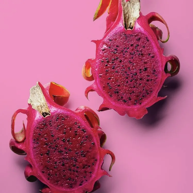 Wholesale Premium Quality Cheap Price White Red Fresh DRAGON FRUIT From Viet Nam