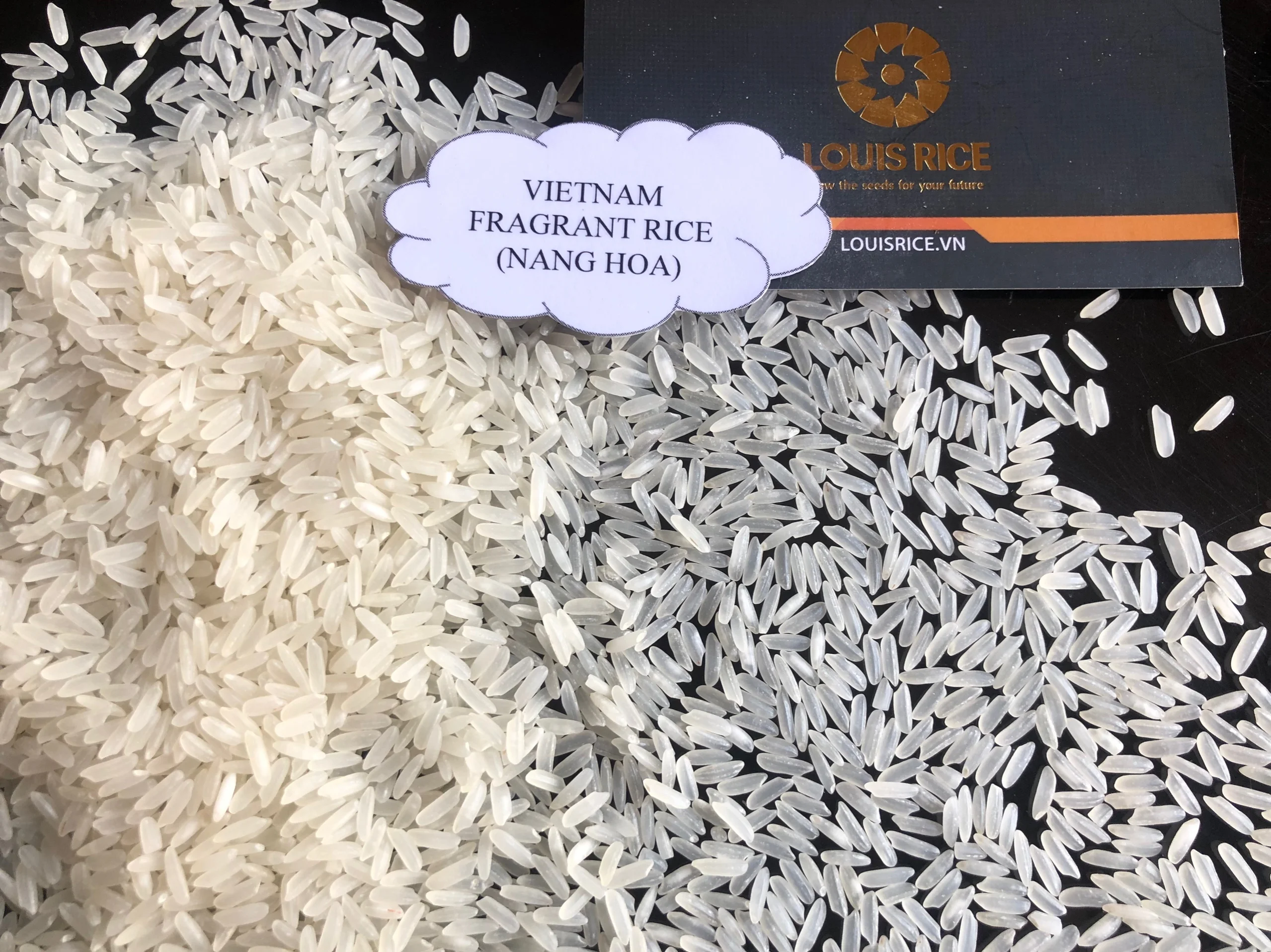 Premium aroma rice 5% broken ( Nang Hoa rice)