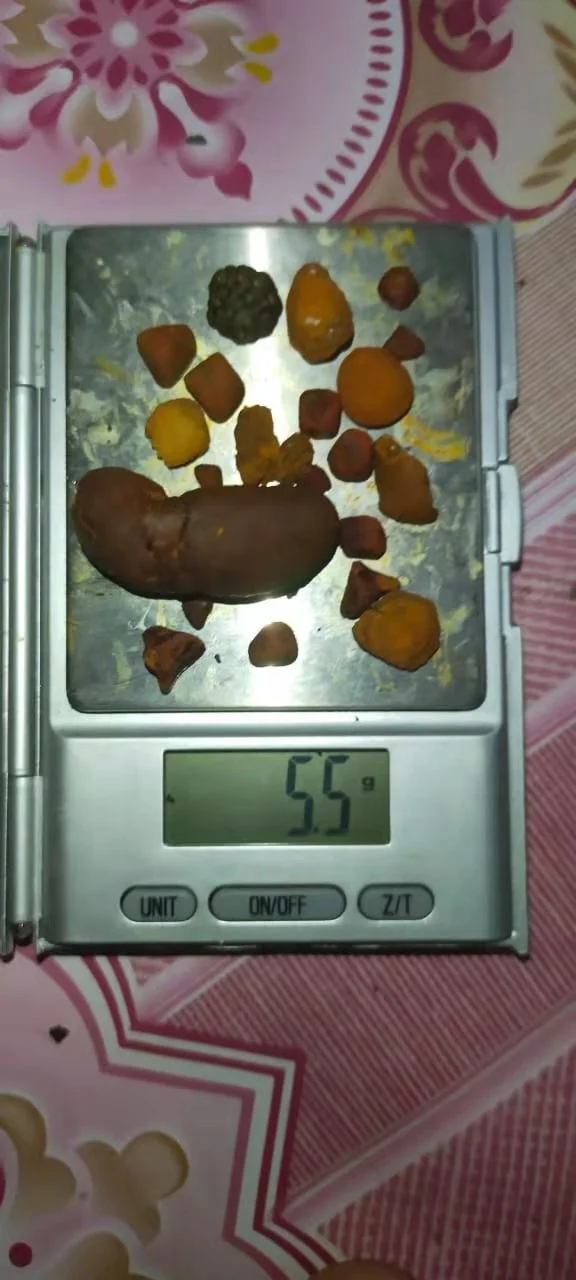 GALLSTONES OX , HIGH QUALITY & DRY OX GALLSTONES FROM PAKISTAN