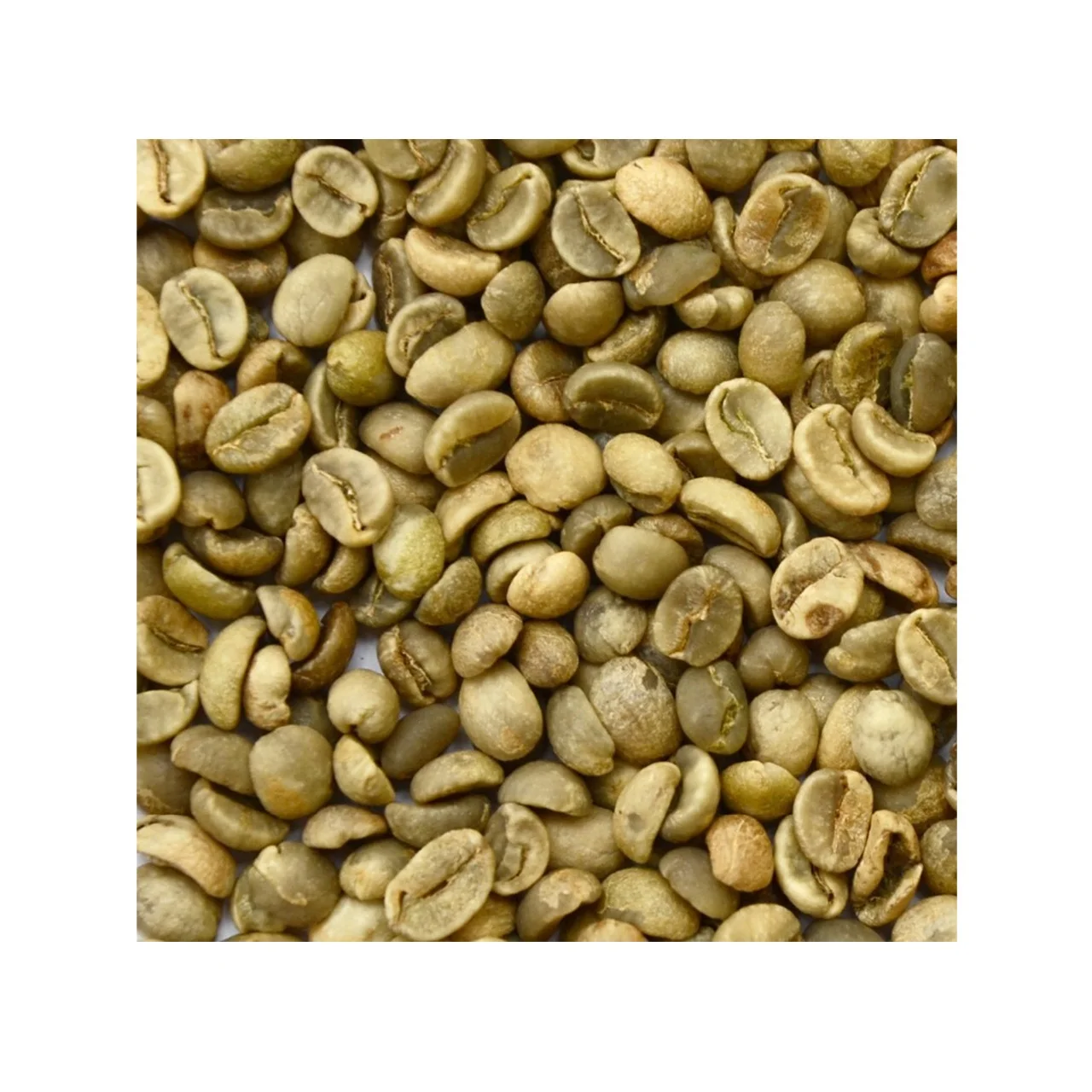 Vietnam export products robusta coffee bean vietnam green green bean coffee drink coffee arabica
