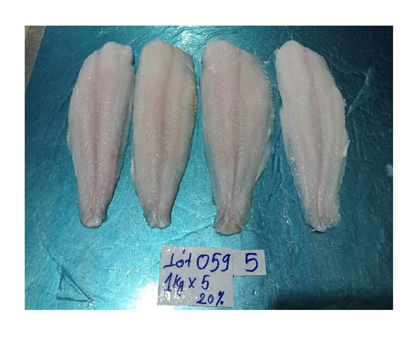 Best quality Seafood Pangasius/ Basa fillet from VietNam