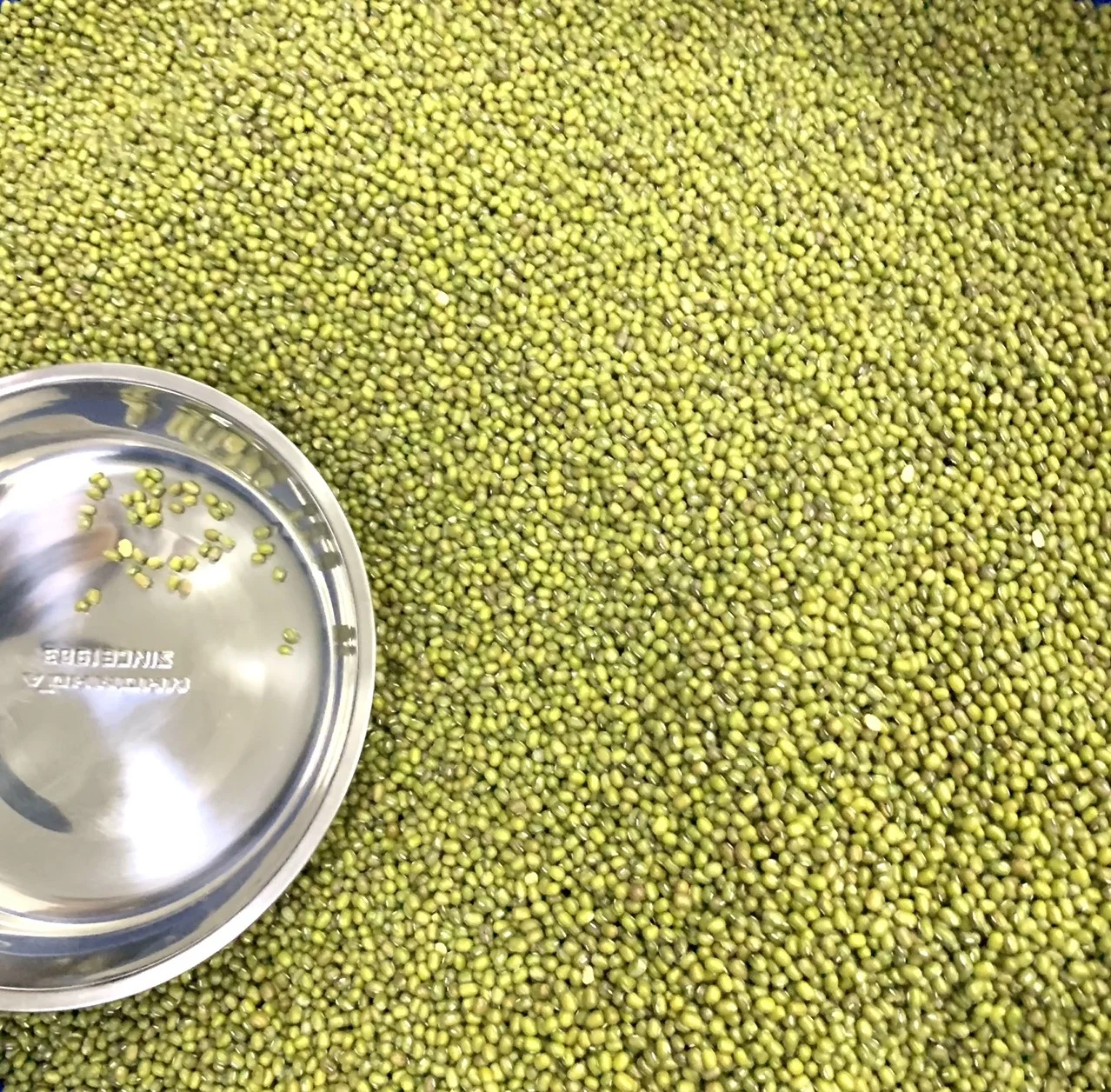 2022 Made in Viet Nam Peeled/Bulk Hulled Skinless Moong Split Peeled Dried Huskless Green Mung Bean ( Big Size )
