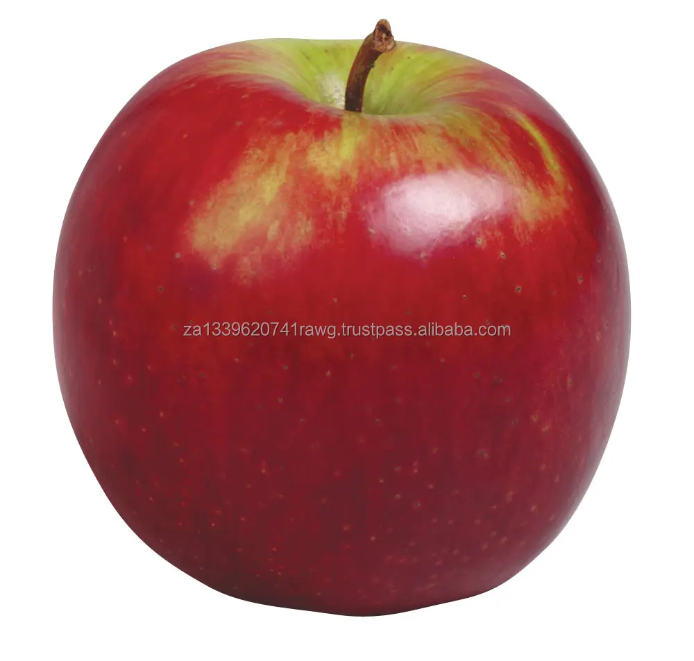 apple-clipart-real-2.jpg