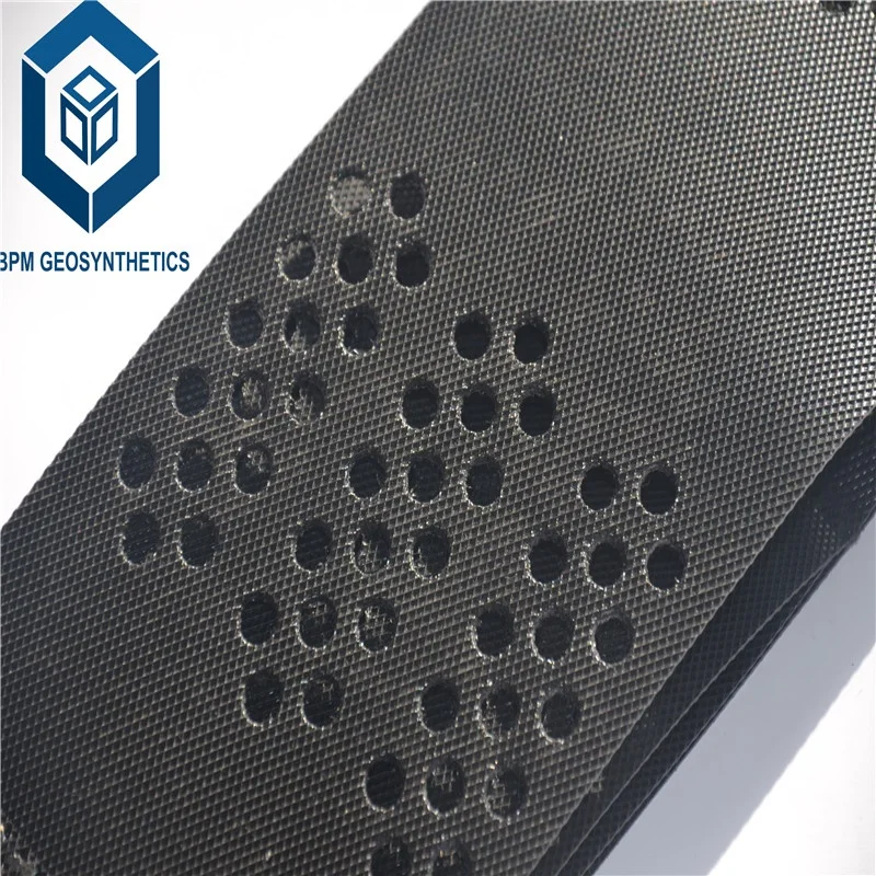 Black Plastic Geowebs Driveway Erosion Control HDPE Geocell for Road Construction in America