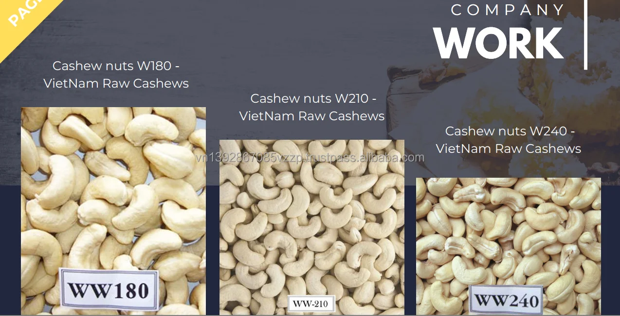 EXCELLENT Organic Directly from the factory of high quality Fresh cashew nuts from Vietnam, peeled