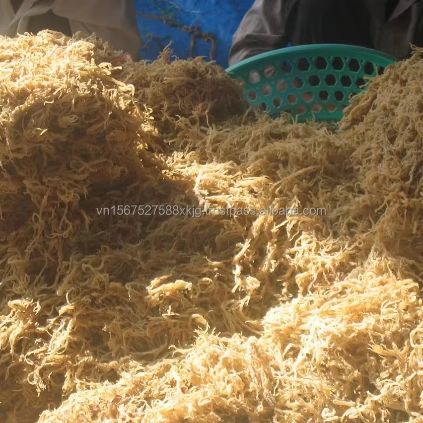 High Quality Roasted Chopped Flavored Seasoned Dried Eucheuma Seaweed-Best Seller Steamed Wholesale from Vietnam Variety Laver