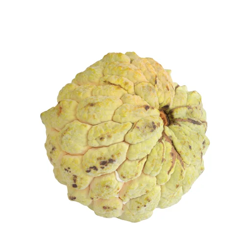 New Product 2022 Viet Nam Fresh Fruit Supplier High Quality Good Price Wholesales Fresh  Custard Apple Fruits