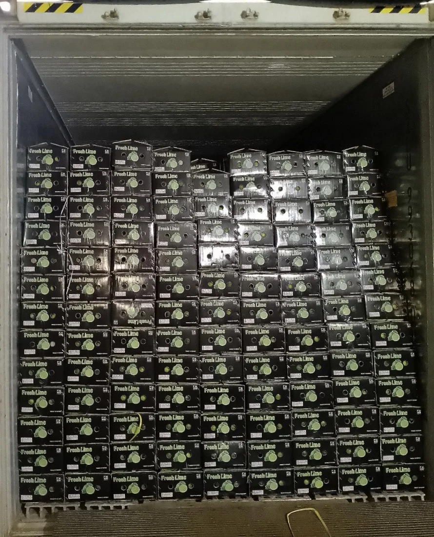 Wholesale Fresh Lime/Lemon Seedless In Viet Nam Sour Taste -- HP 0084 917 476 477