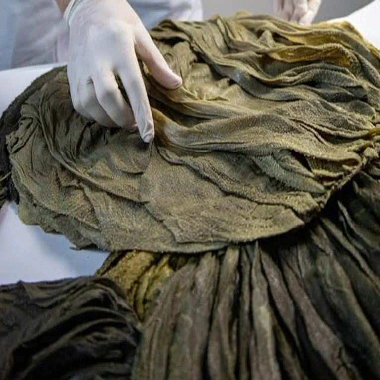 Halal Nutritious Beef Omasum Dried Salted Beef Omasum Frozen Beef Omasum