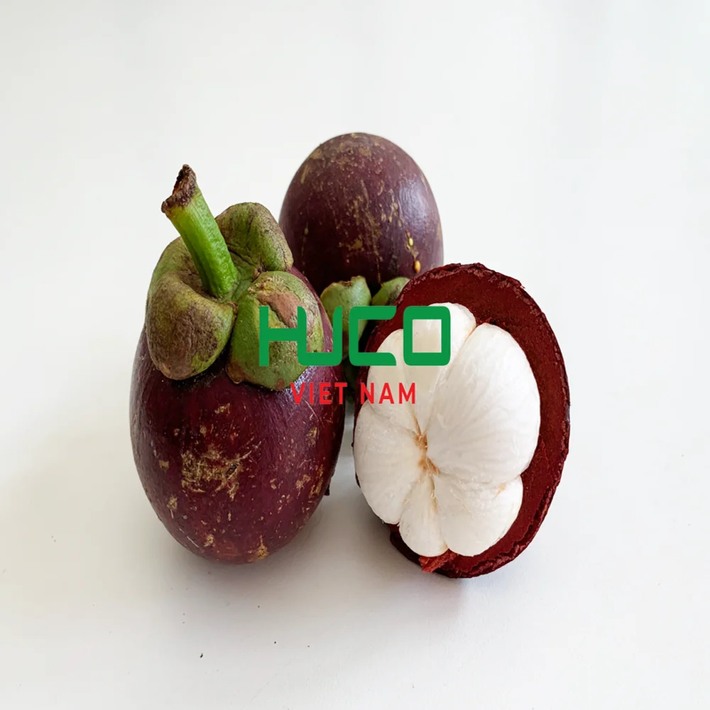 FRESH MANGOSTEEN HIGH QUALITY FROM VIETNAM