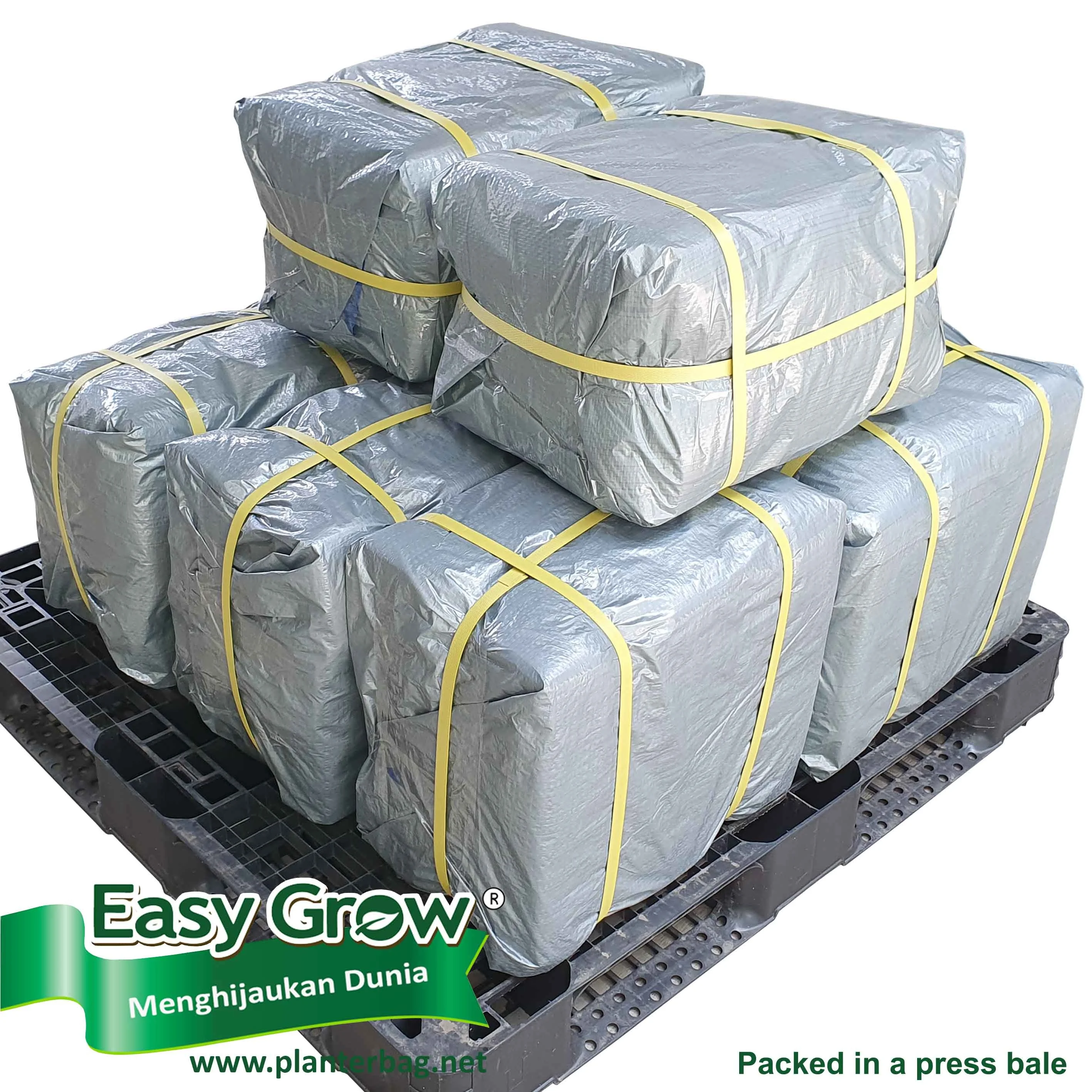 New Design Hanging Plastic Planter green wall planter flower pots & Planter 8 9 10 12 Pockets for Vertical garden