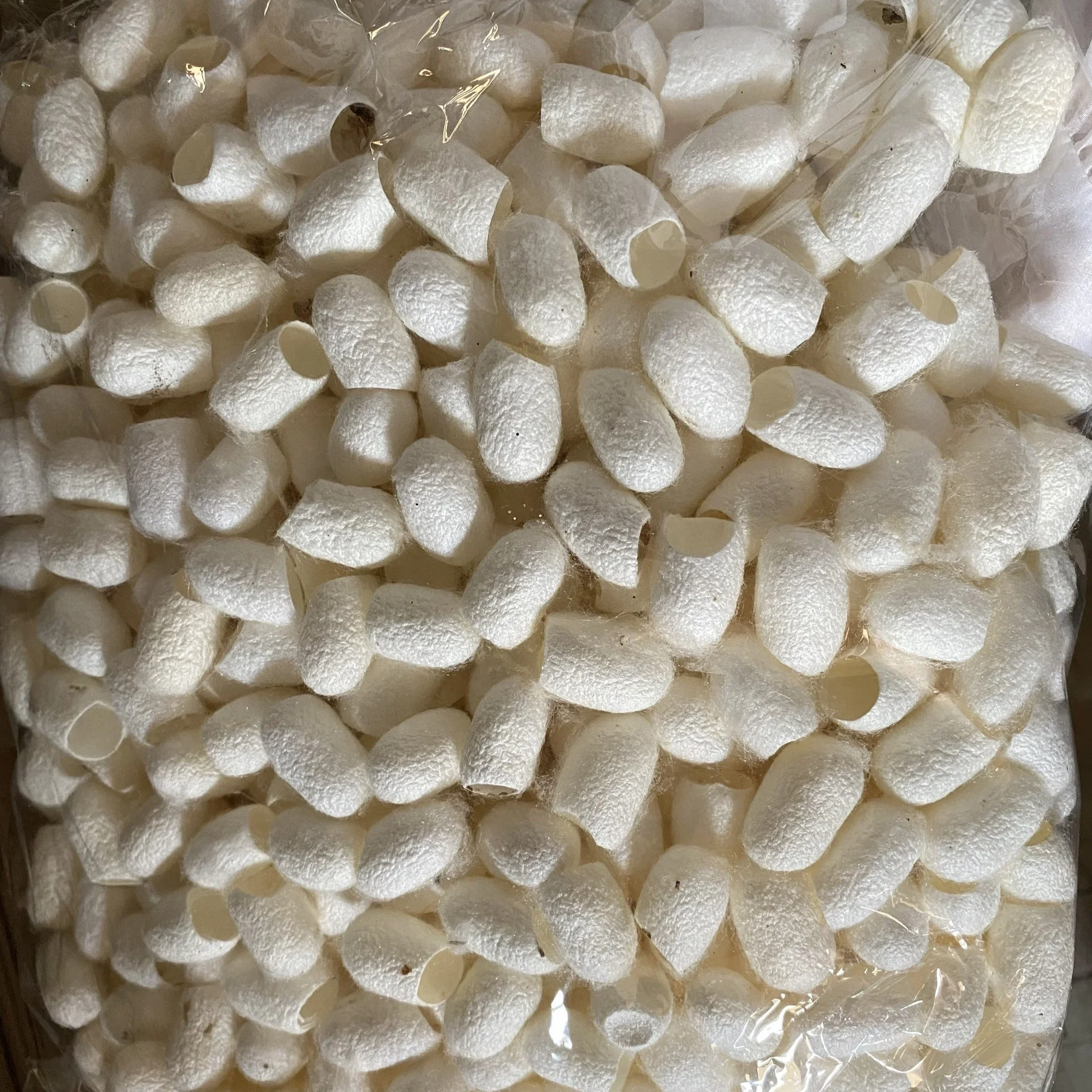 CUT WHITE SILKWORM COCOON FOR FACE CLEANING CHEAP PRICE/NATURAL SILKWORM COCOON FOR YARN FROM VIETNAM