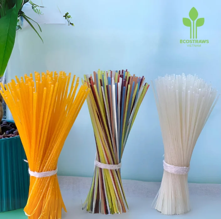 Vietnam Rice Noodle High Quality  For Cooking  Ecostraws Vietnam In Carton Vietnam  Wholesale